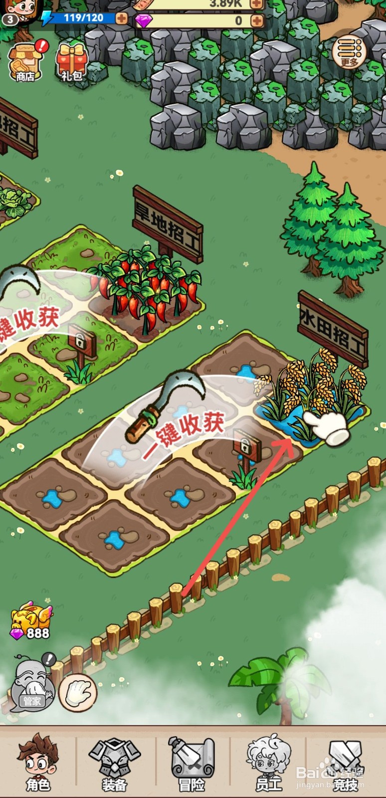 史小坑的爆笑生活怎么收获种植的植物