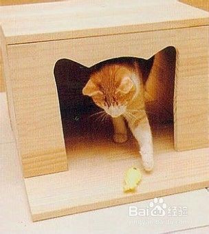 给猫做个小屋 Diy 百度经验