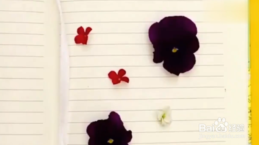 如何给手机做美容