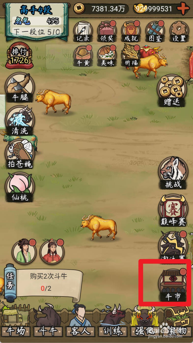 叫我养牛王如何购买爱吃嫩草的非主牛