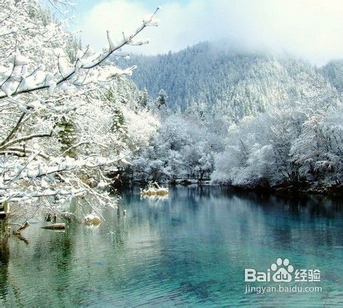 九寨沟_黄龙_“童话世界”四日游