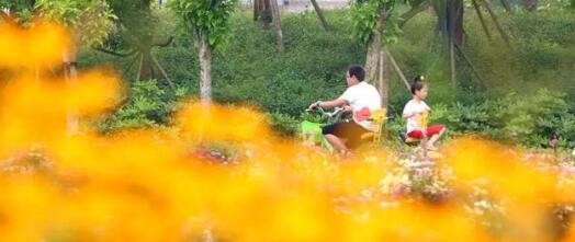 刷爆朋友圈的粉色花海