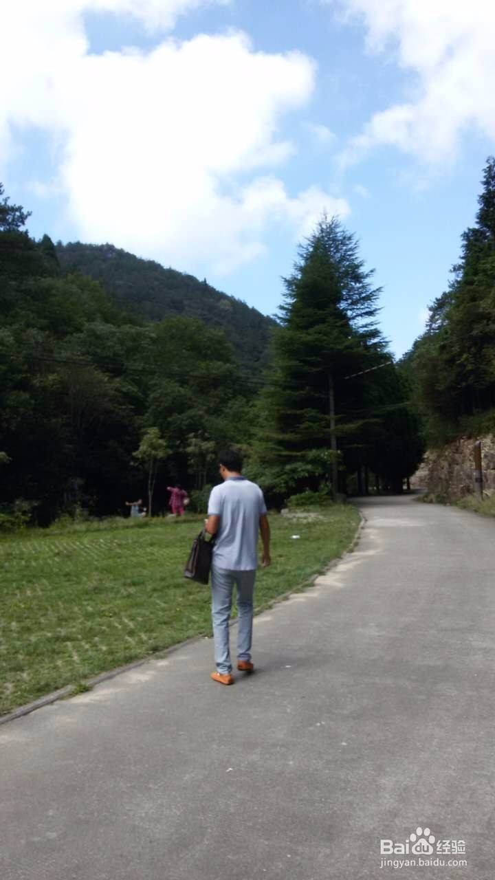 长寿之乡庆元行攻略