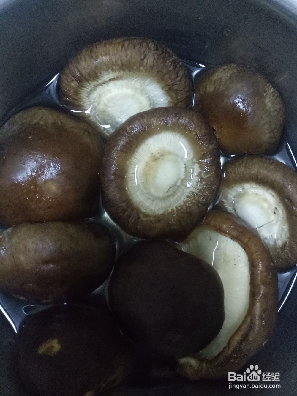 怎样包香菇肉馅水饺