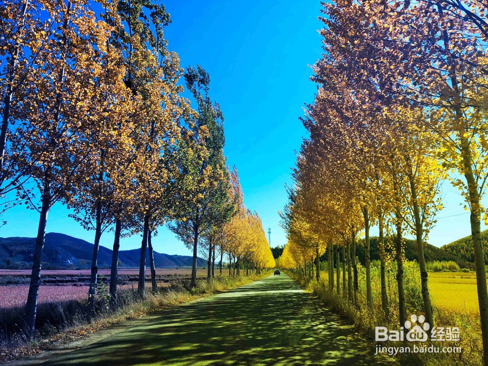 如何用PS给图片加渐变色