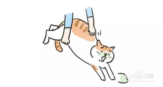 怎么解决猫咪溺水？