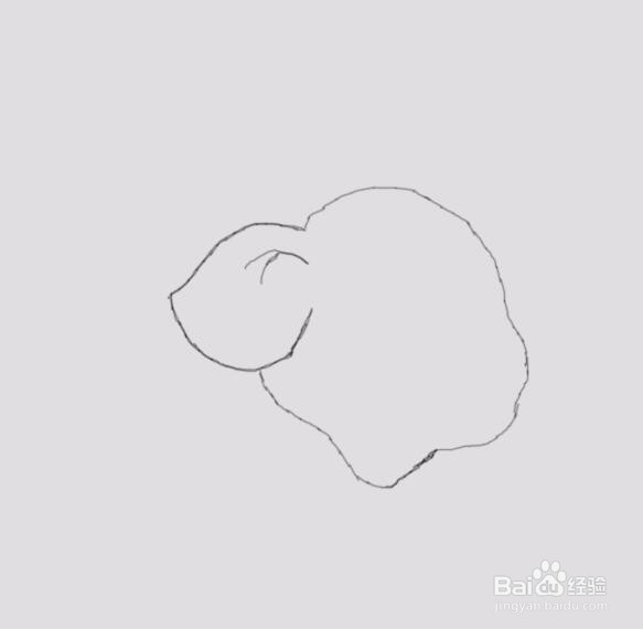 可爱的小猪是怎么画的