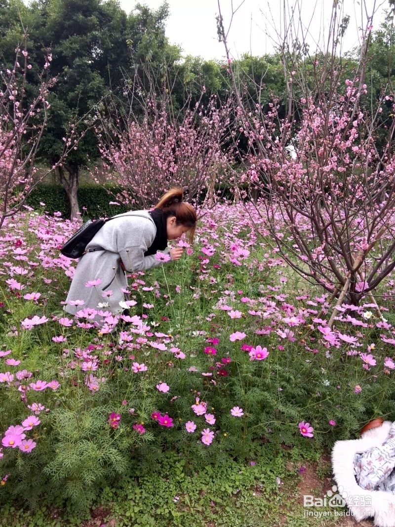 如何赢得女孩子开心