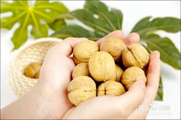 怎样使用核桃？-------中药的使用