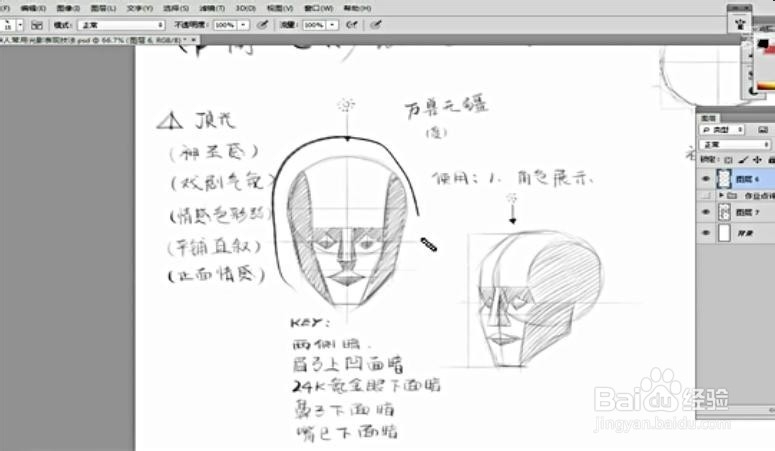 插画基础教程