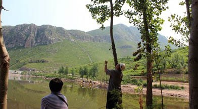 解决鱼钩“挂树