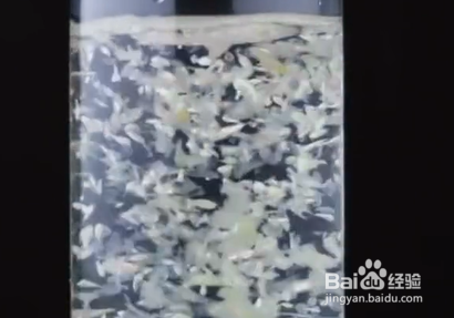 如何掌握有趣的小妙招？