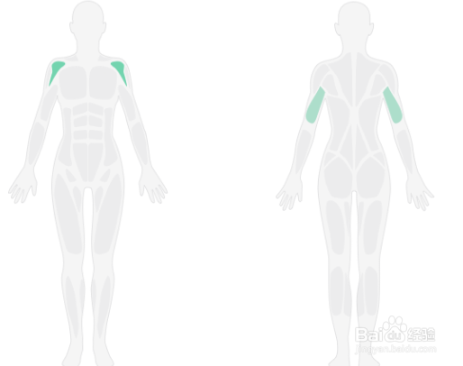 俯卧撑入门锻炼