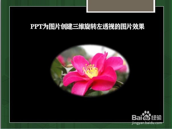 PPT为图片创建三维旋转左透视的图片效果