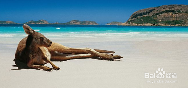 如何海淘可瑞康奶粉