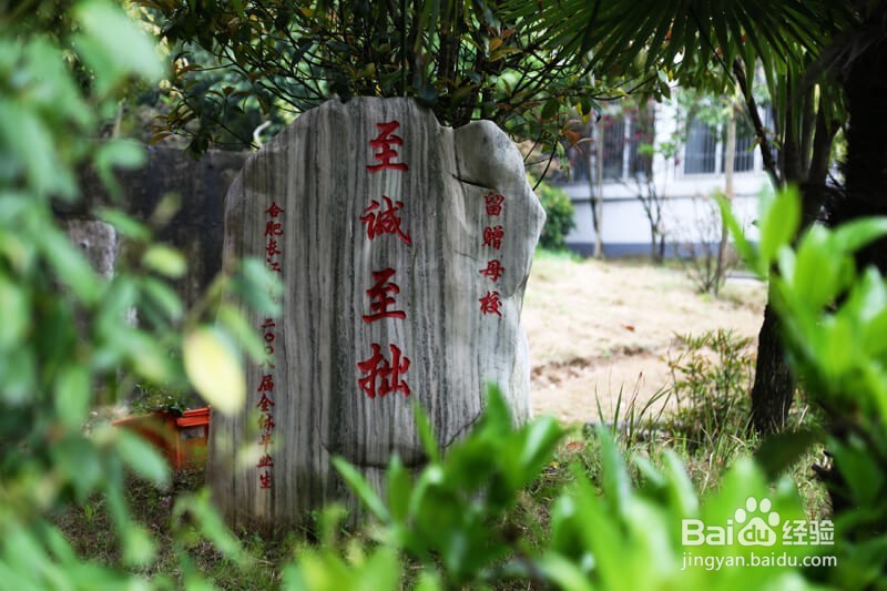 安徽艺考艺术类理科文化课怎么培训？