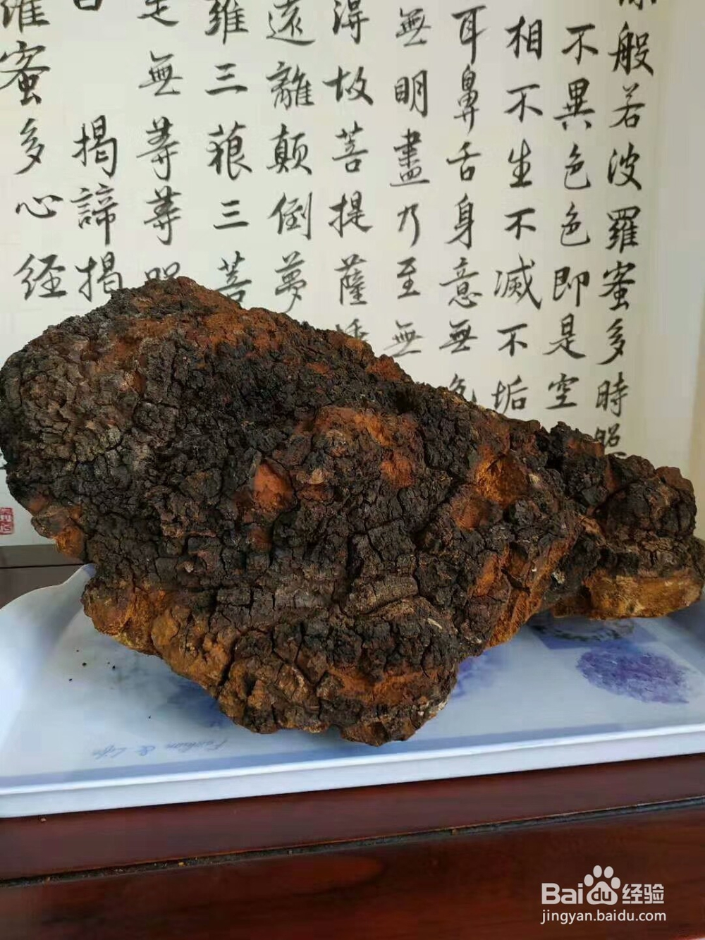 桦褐孔菌(桦树茸)如何煮食,有什么功效