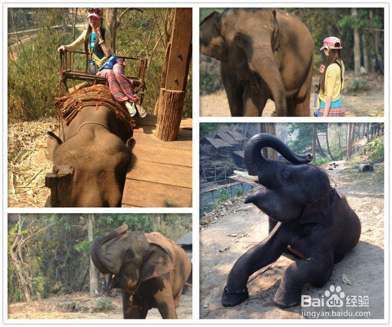 我的溜溜泰国：[1]古城清迈