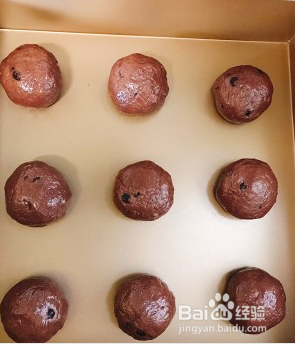 越嚼越好吃的恐龙蛋