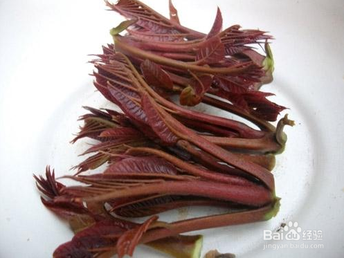 春天常吃10种蔬菜 补“阳气”