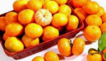 砂糖桔的功效与作用