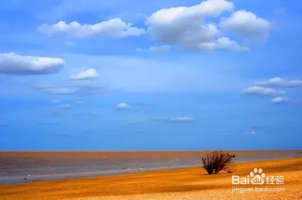 童话美景不只存在书中，看山东现实中的童话影像