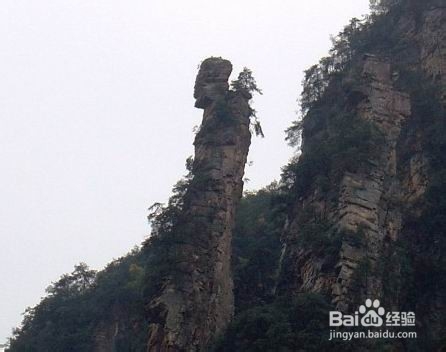 张家界客栈联盟