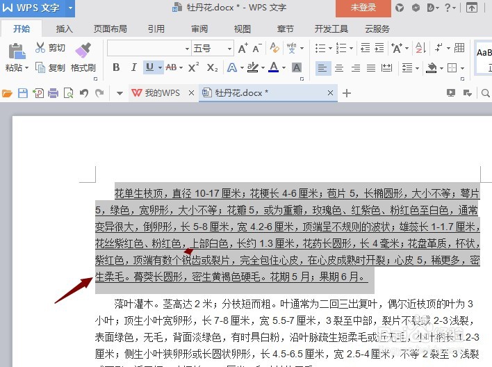 word文档下划线不显示