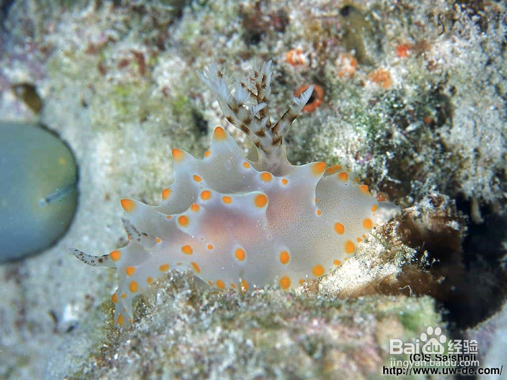 z=10x³y²-xy³+xy+3的所有一二三阶偏导数