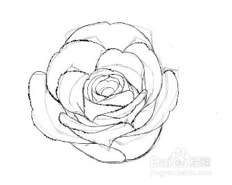 优动漫PAINT-仿真玫瑰速成法