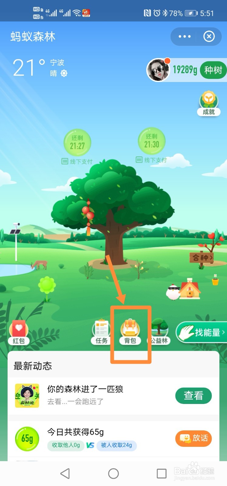 支付宝蚂蚁森林如何取消装扮绿色宝贝山桃