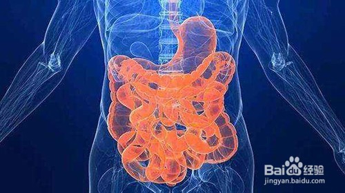 慢性胃炎的危害有多大？