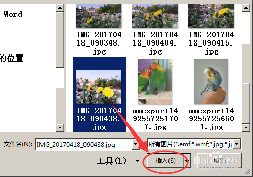 怎么在word中添加水印