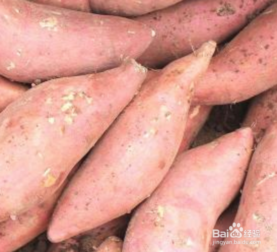 苹果怎样吃出健康 常见水果 苹果食用 宜 忌 慎