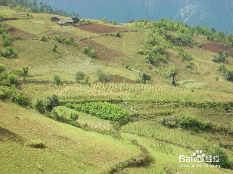 农村土地如何赚钱