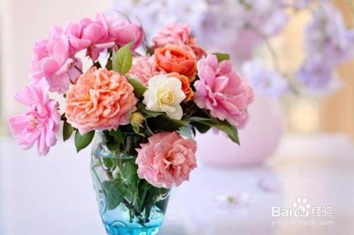 百合花插花瓶怎么养