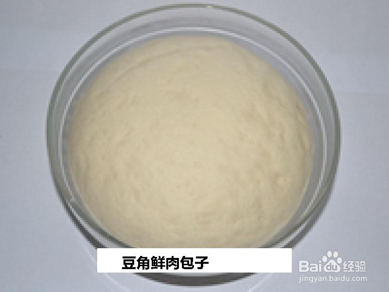 豆角鲜肉包子的做法