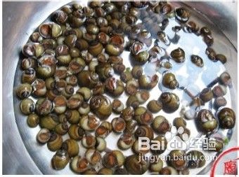 人人都需要田螺姑娘----香辣田螺