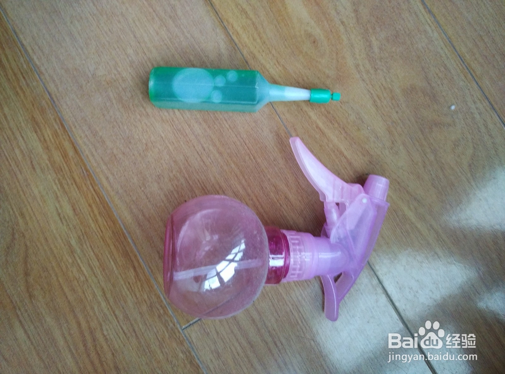 怎么提高办公室绿萝的成活率?