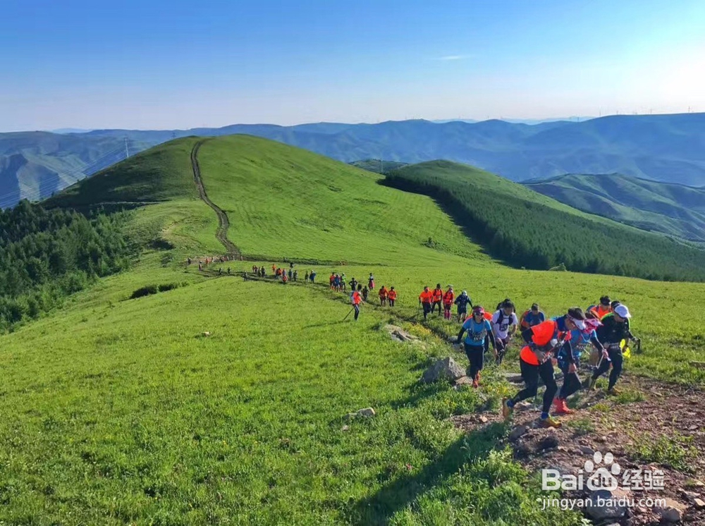 越野迷路怎么办
