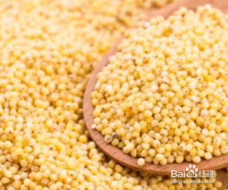 冬季养生哪些食物好