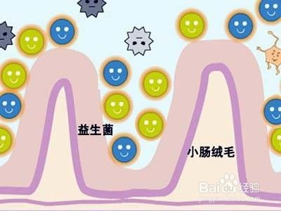 宝宝拉肚子怎么办？