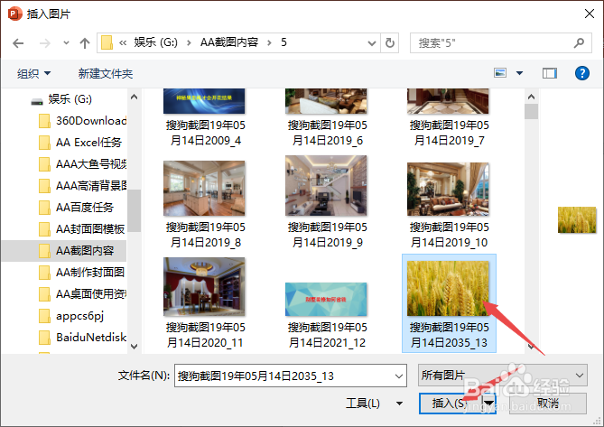 PPT如何将插入的图片裁剪为椭圆形
