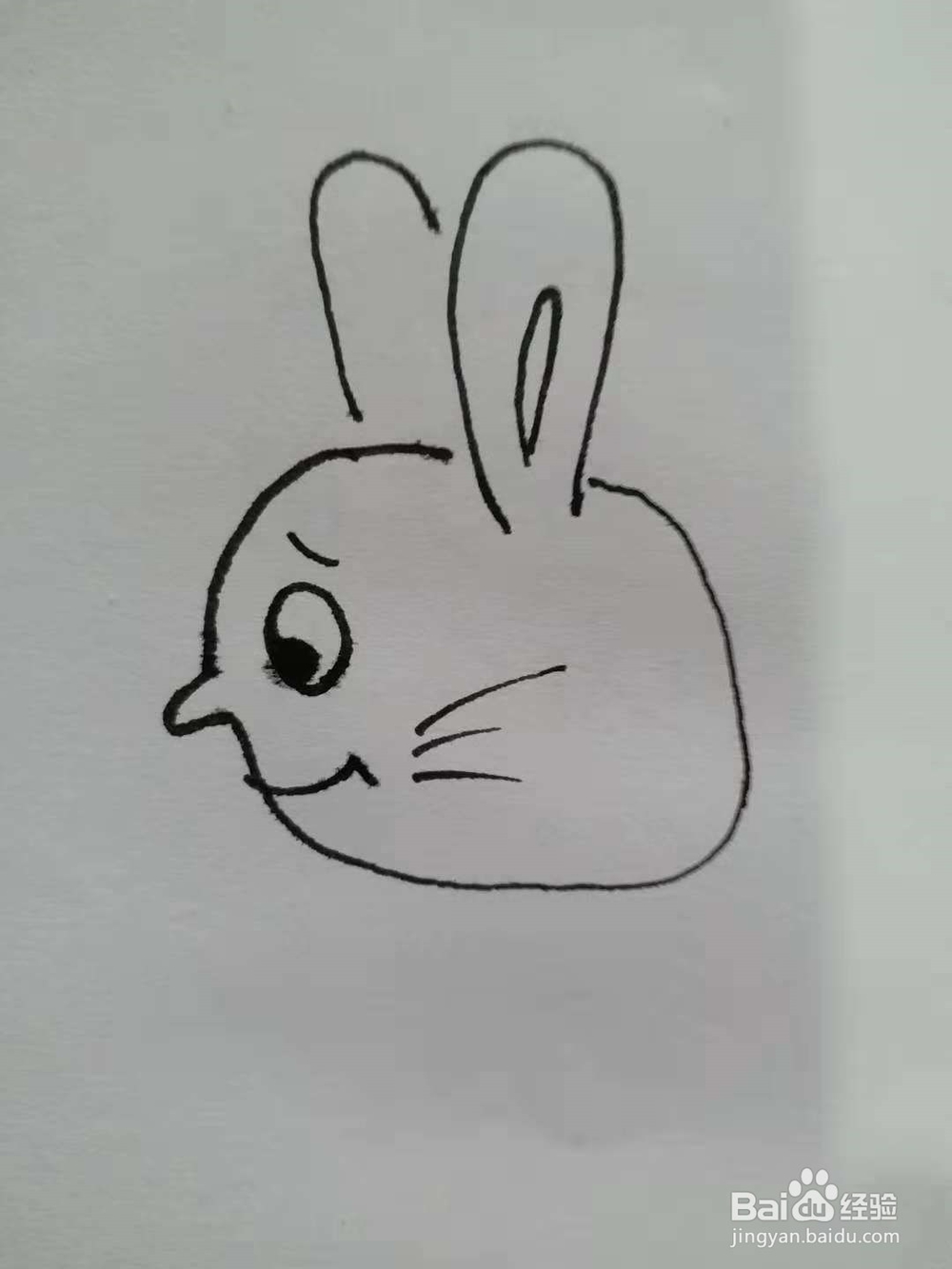 卡通兔的简笔画法《六》