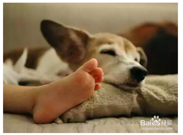 晚上睡眠不佳怎么办？