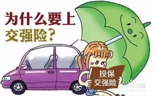 强险标志丢了怎么办