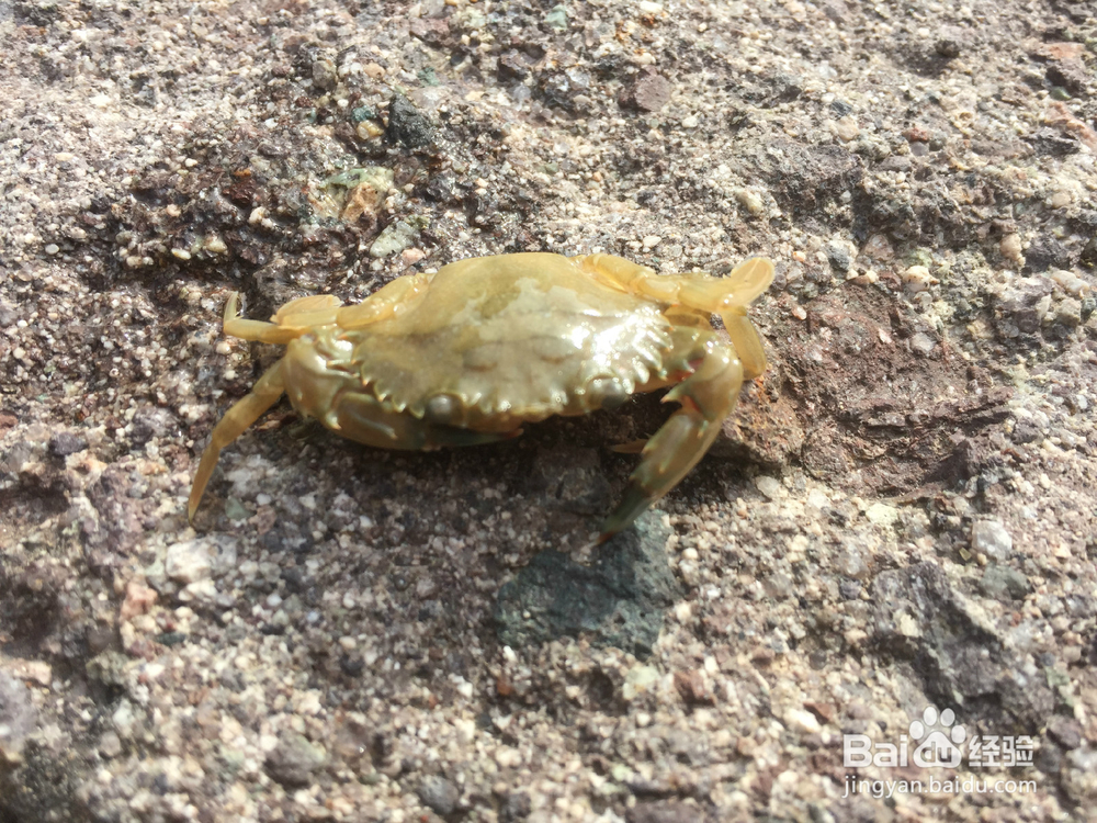 沙滩上寻找乐趣