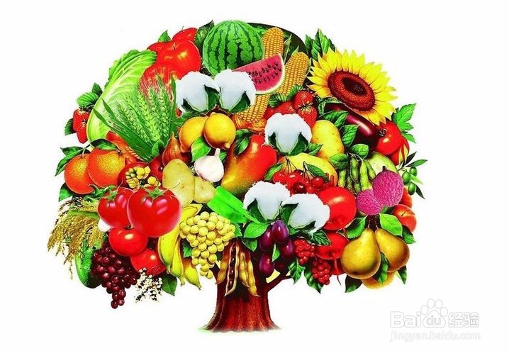 如何鉴别转基因食物