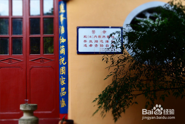 义务大陈农业旅游不瞎玩，月月新鲜吃不停！