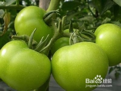 生活贴士之日常饮食